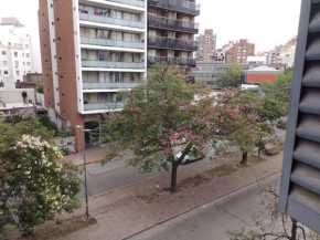 Olmos Flats II